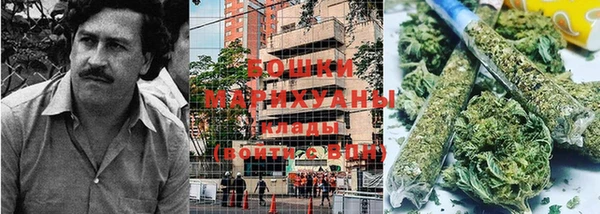 бошки Аркадак