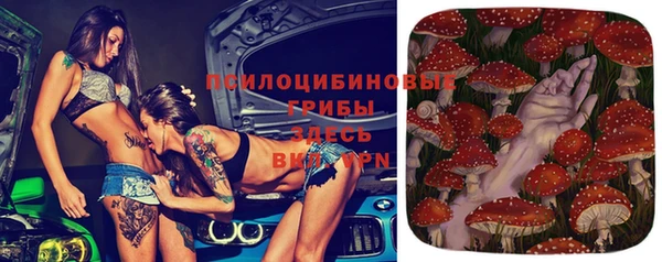 бошки Аркадак