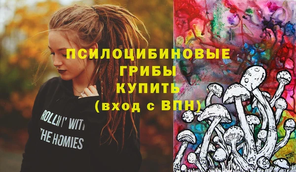 бошки Аркадак