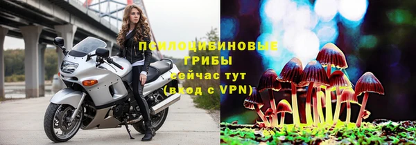 mdpv Армянск