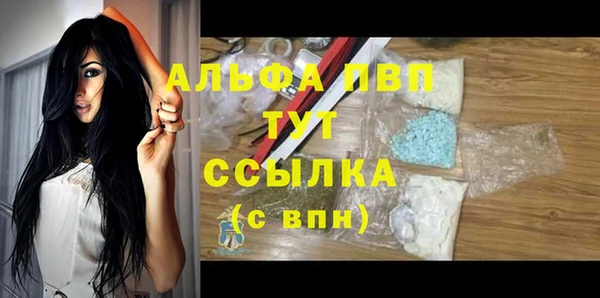 стафф Арсеньев