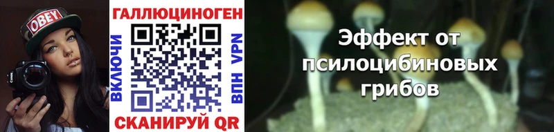 Псилоцибиновые грибы ЛСД  Саки 